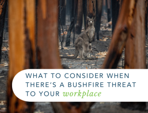 What to consider when there’s a Bushfire Threat to your Workplace