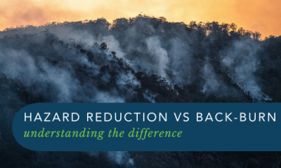 Hazard Reduction vs. Back-burn | WEM