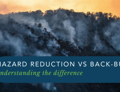 Hazard Reduction vs. Back-burning: Understanding the Difference