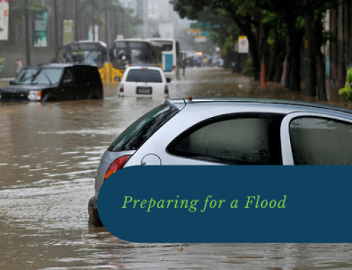 Preparing for a Flood